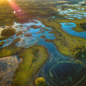 O Estatuto do Pantanal: Desafios e Especificidades de um ambiente em constante modificação