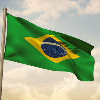 Entre duas pátrias: o caso Cláudia Hoerig e a virada constitucional na perda da nacionalidade brasileira